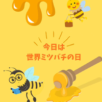 画像238