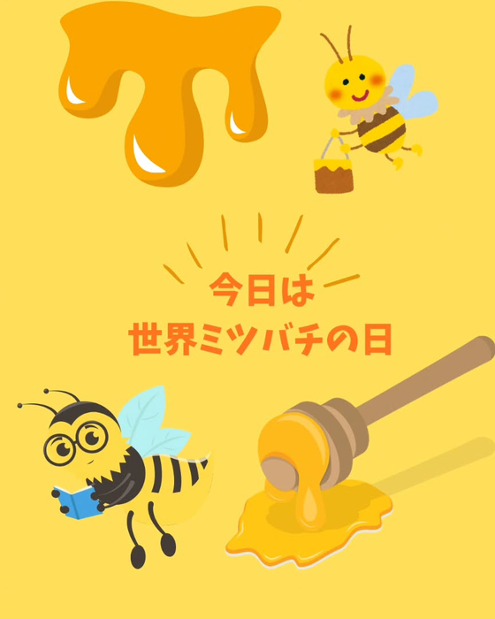 画像238