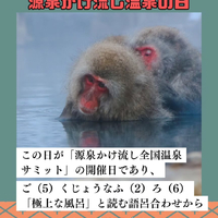 画像256