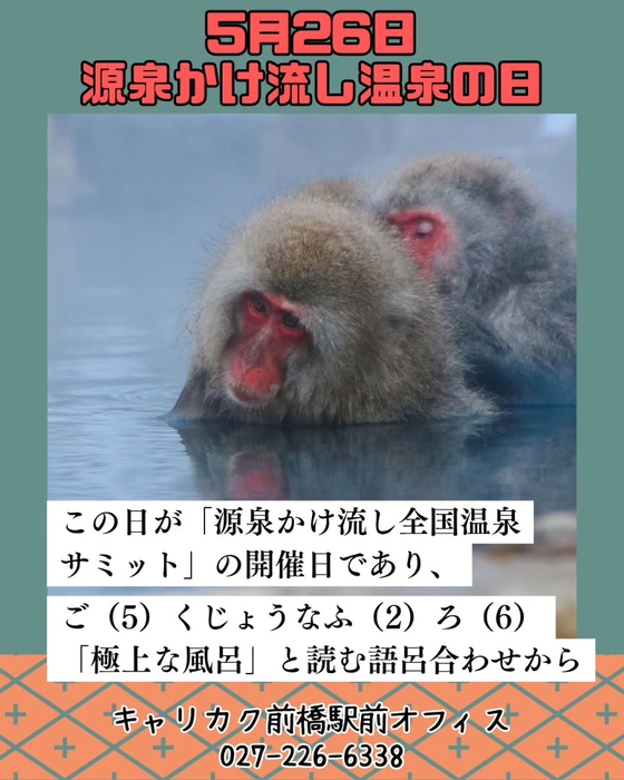 画像256