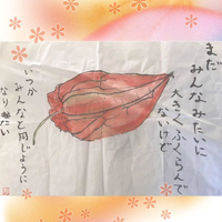 画像388