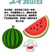 画像468