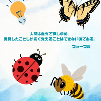 画像482