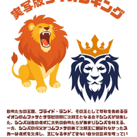 画像495