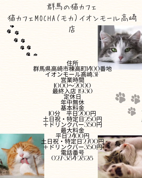 画像533