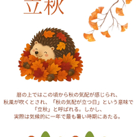 画像539