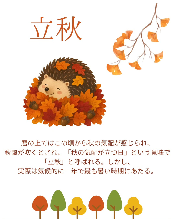 画像539