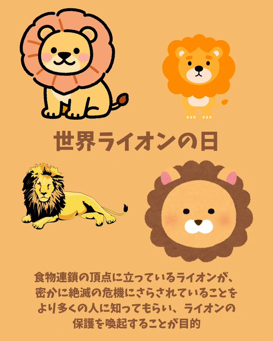画像551