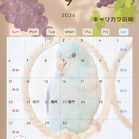 画像611