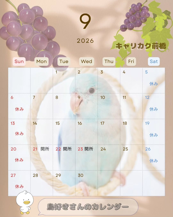 画像611