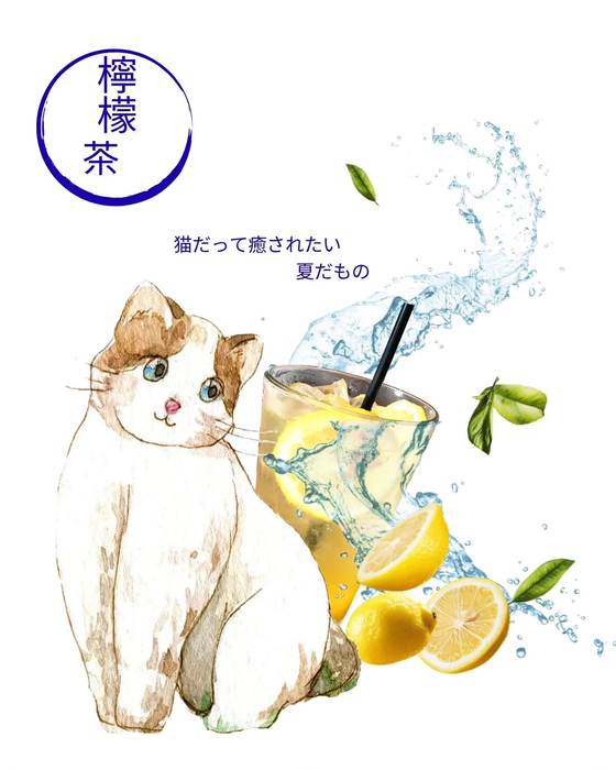 画像619