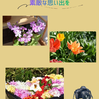 画像669