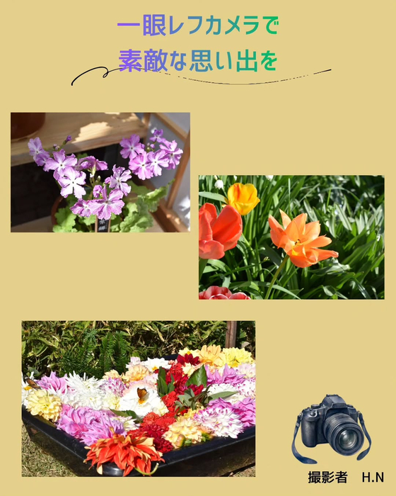 画像669