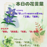 画像672