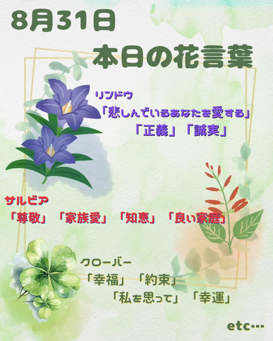 画像672