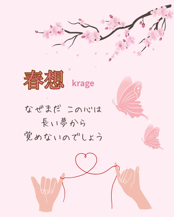 画像684