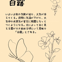 画像699