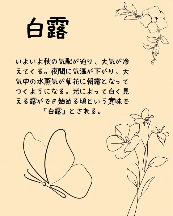 画像699